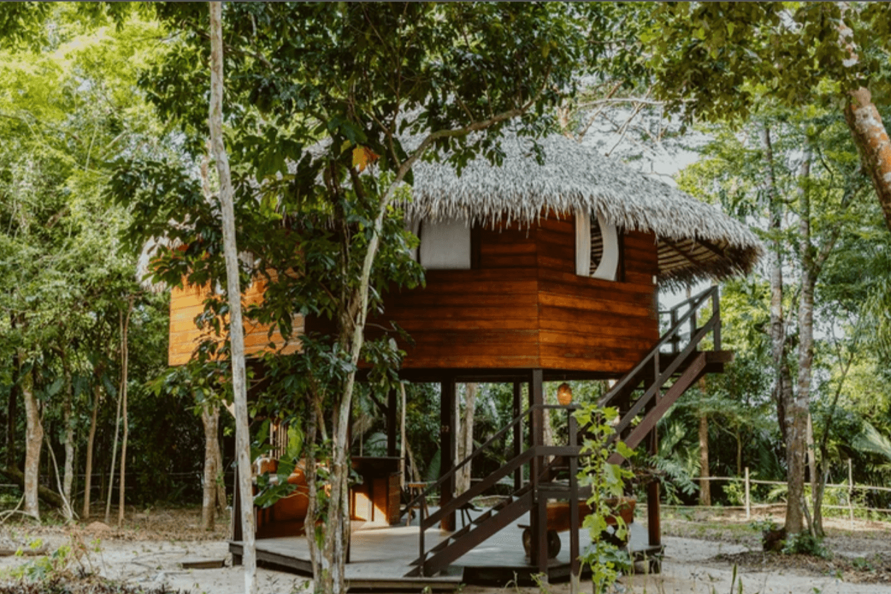 Eco-retiros na floresta