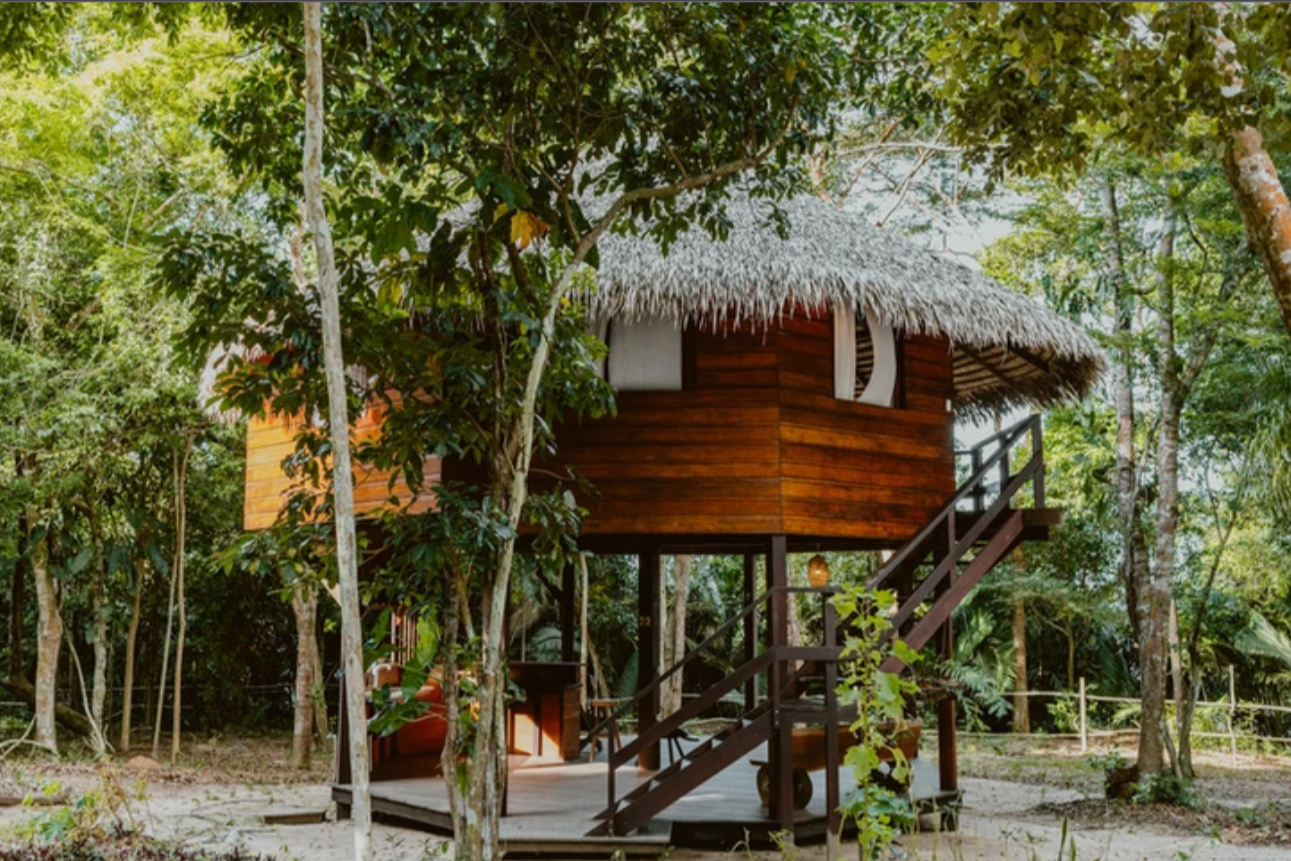 Eco-retiros na floresta